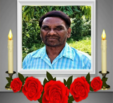 Bootstrap 4 card image left demo image